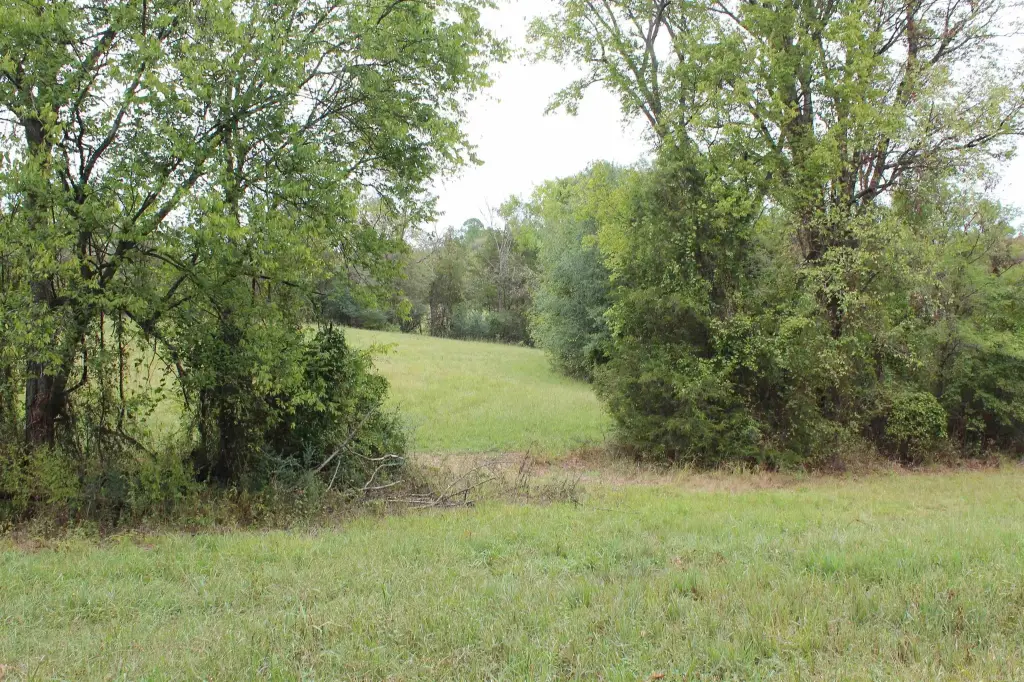 Picture 40