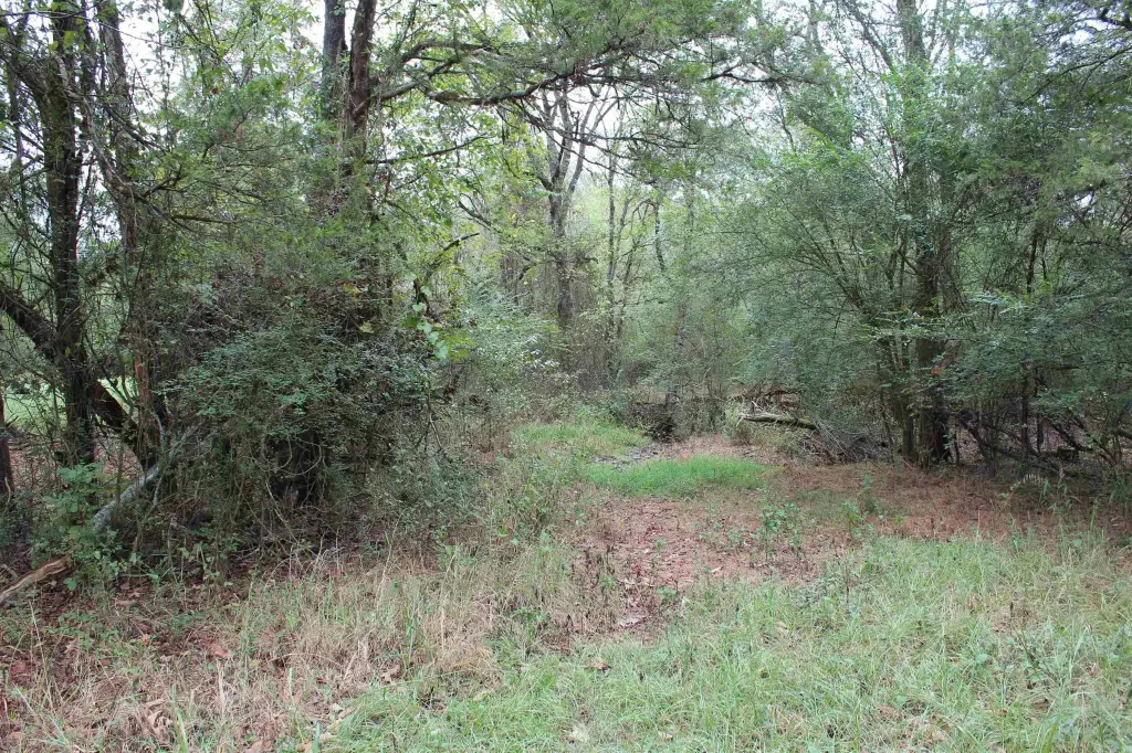 Picture 27