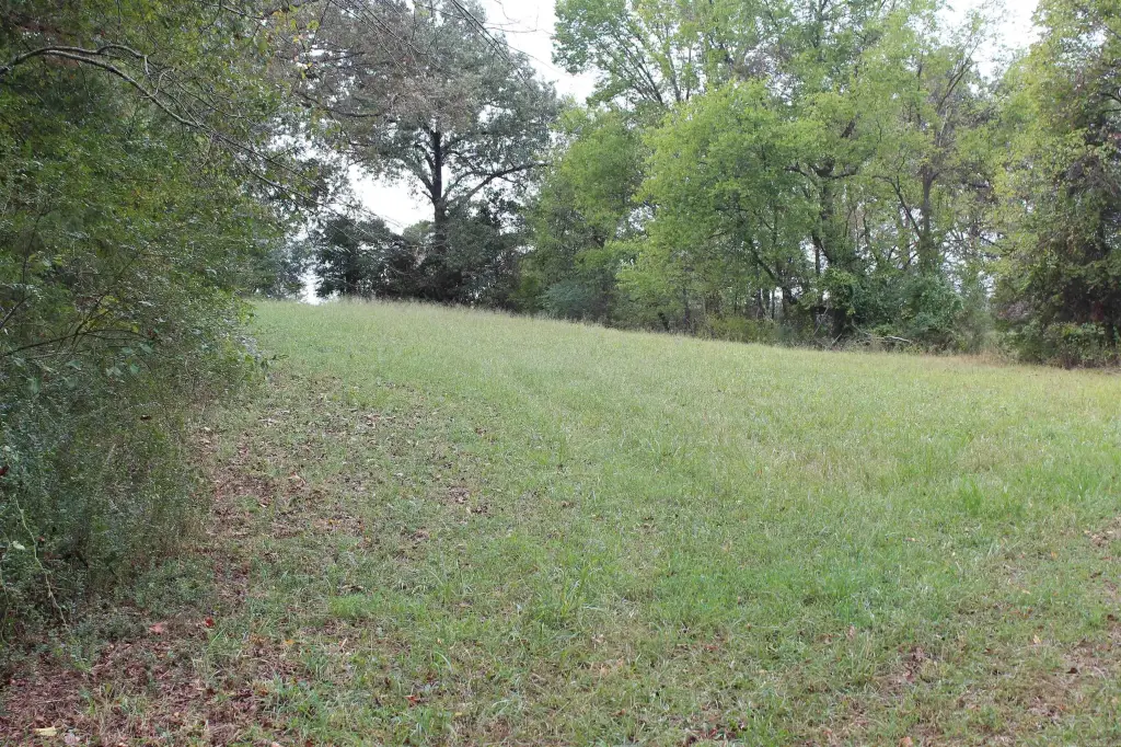 Picture 37
