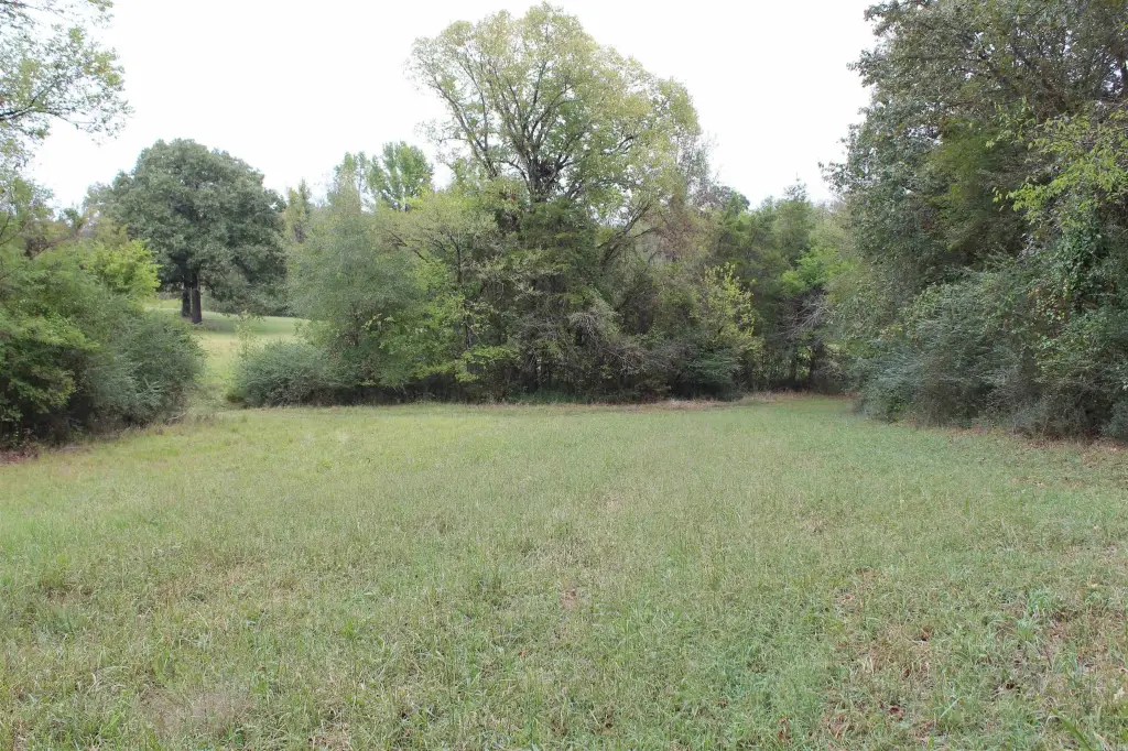 Picture 41