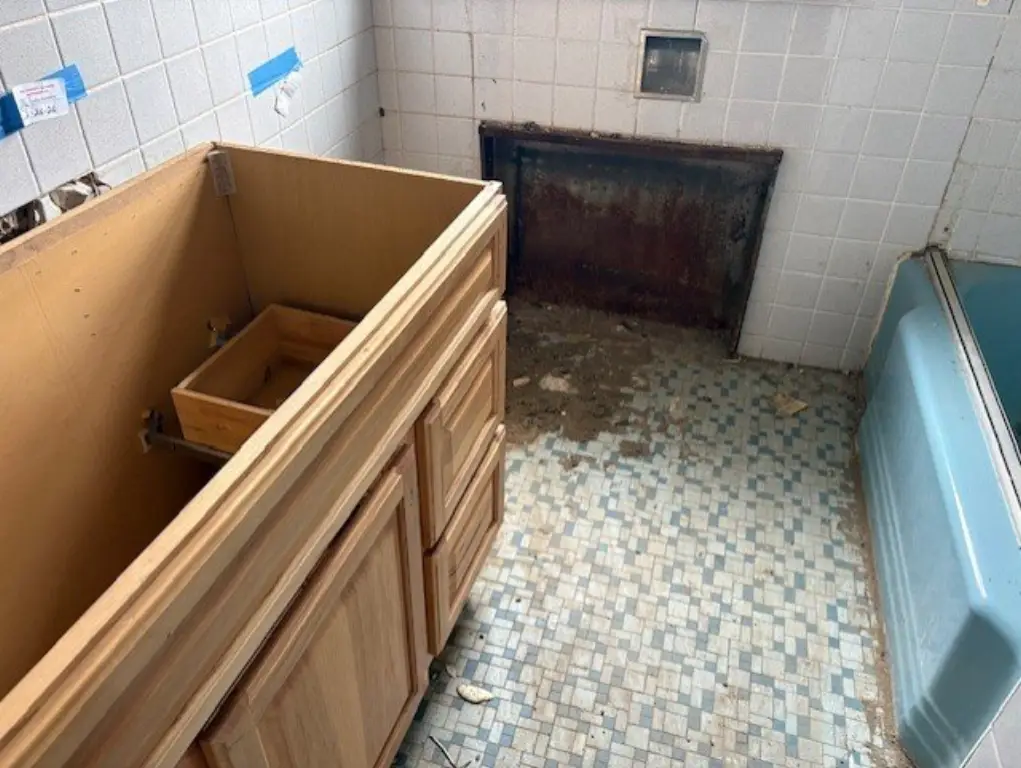 Picture 5