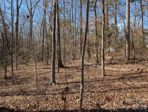 Residential Land in Rock Hill