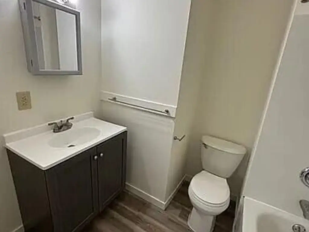 Picture 6
