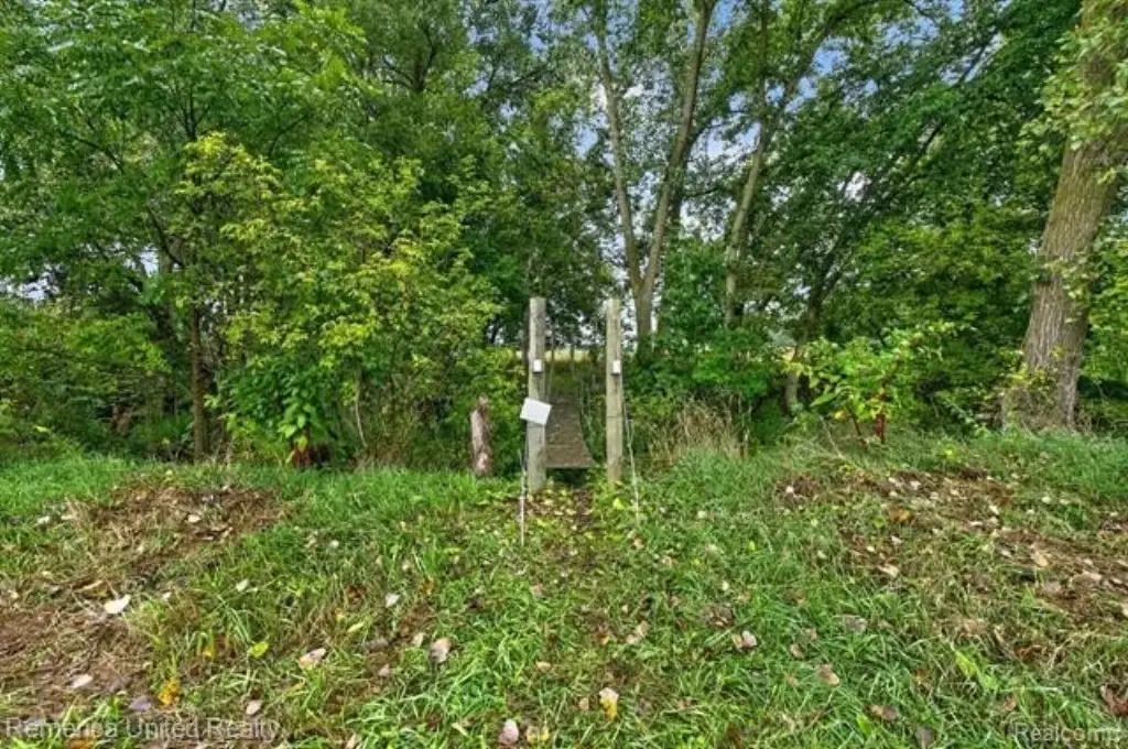 Picture 27