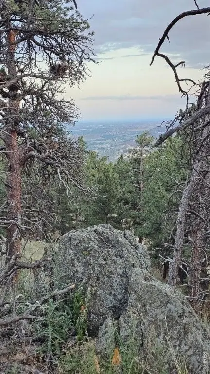 Picture 4