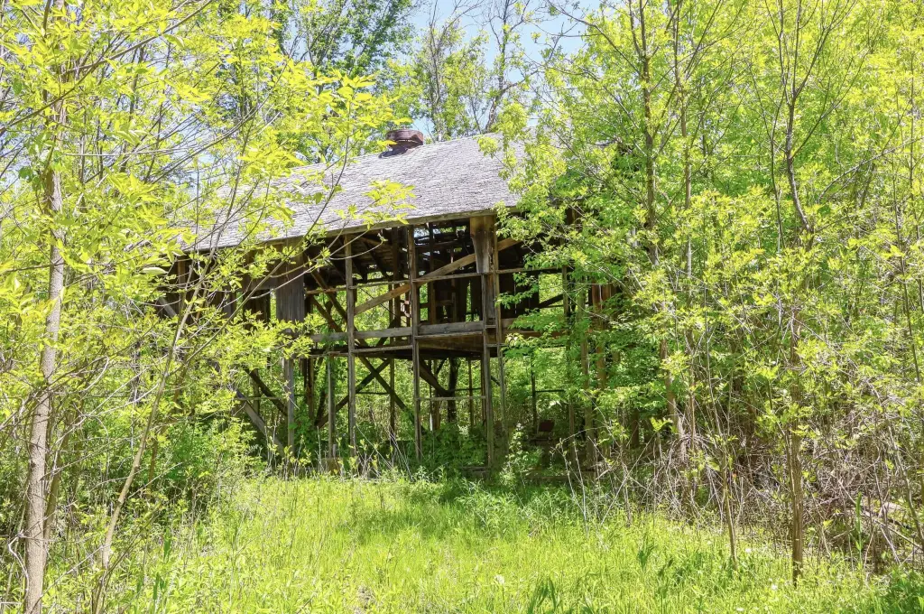 Picture 6