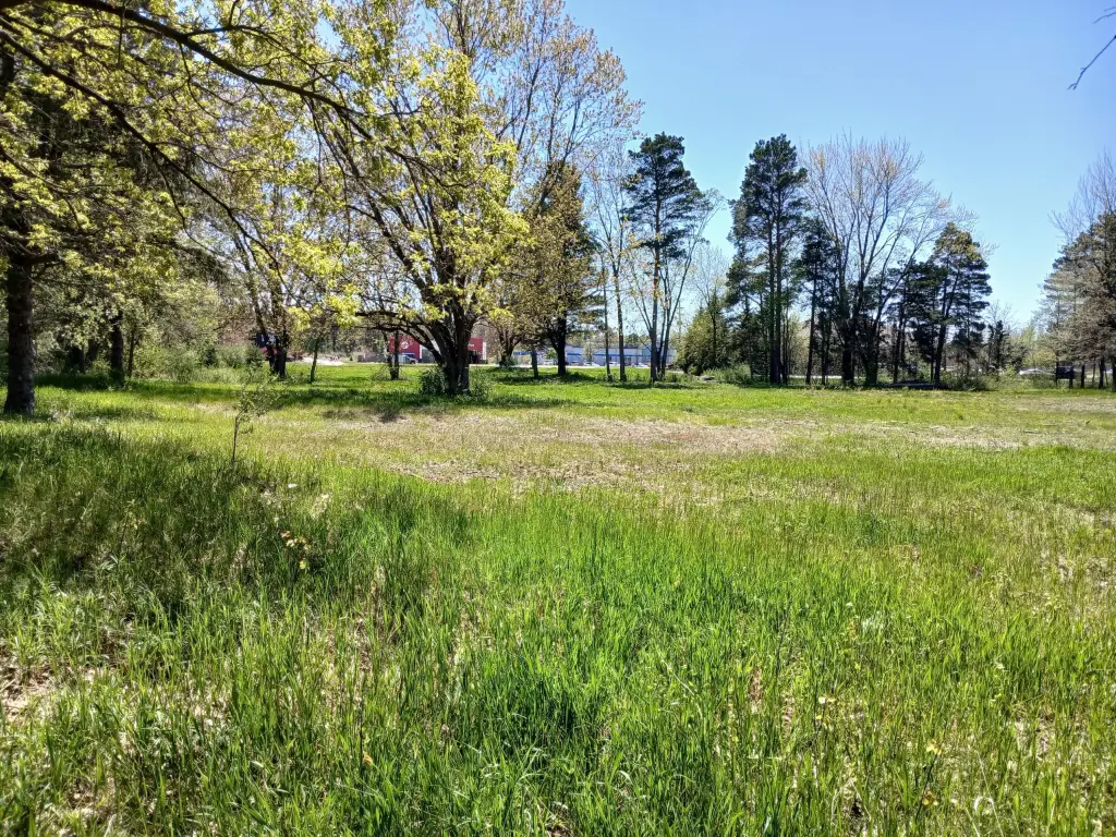 Picture 9