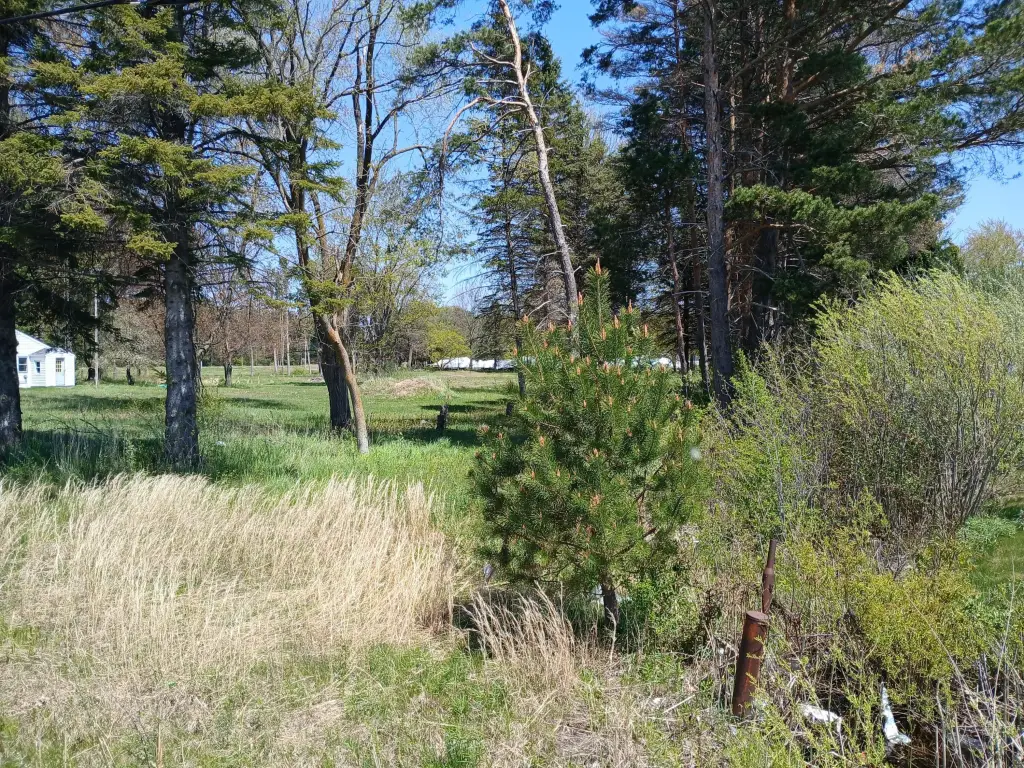 Picture 4