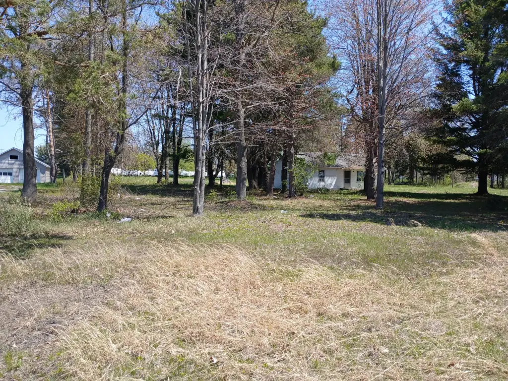Picture 15