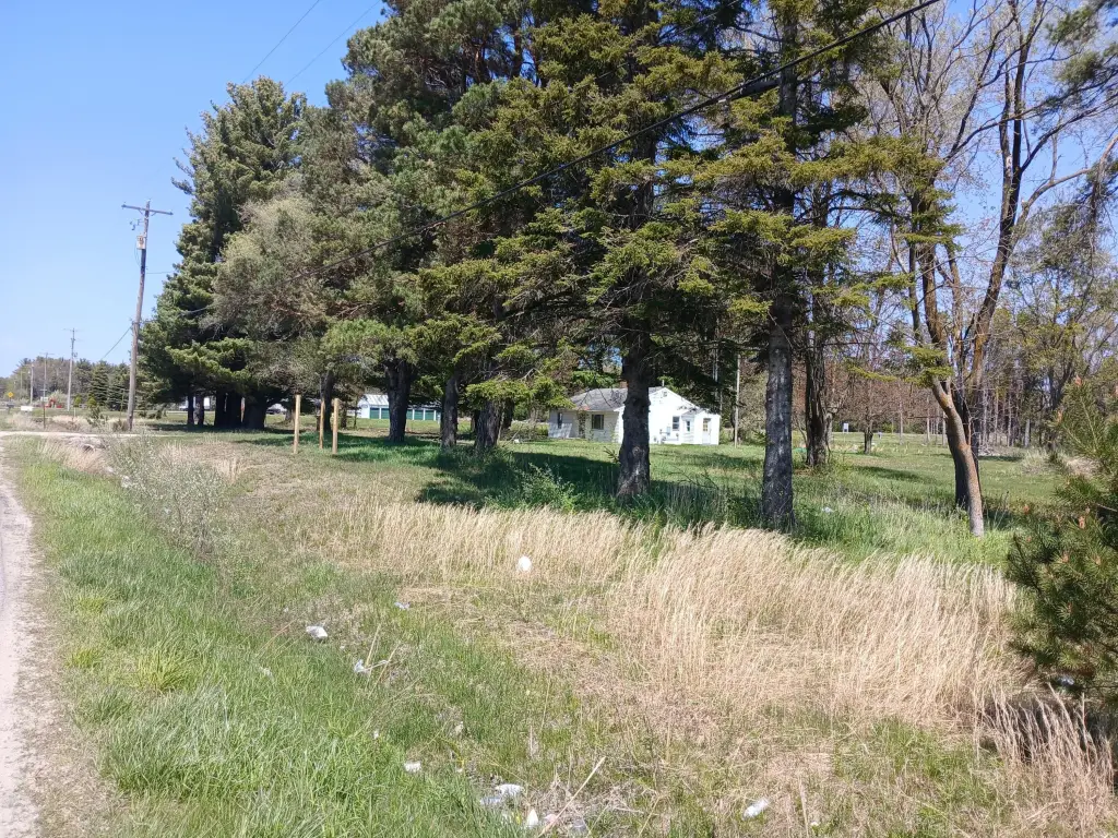 Picture 3