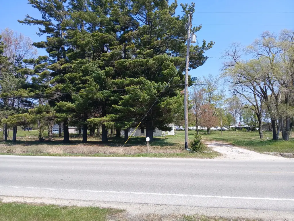 Picture 21