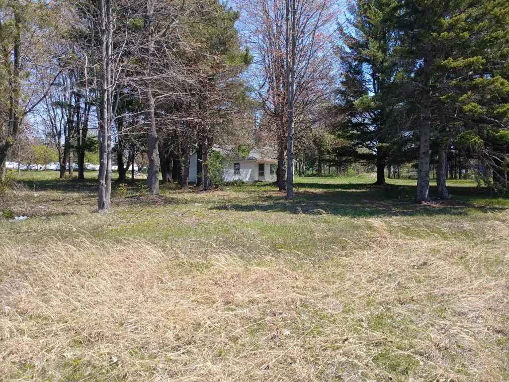 Picture 16