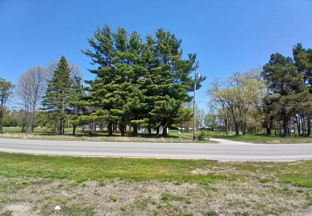Picture 2