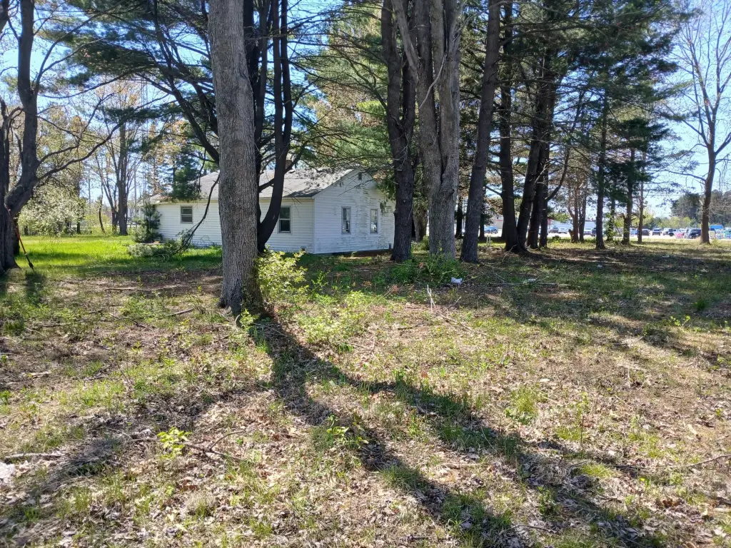 Picture 14