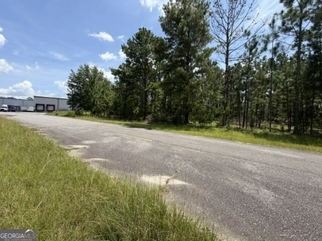 Picture 3