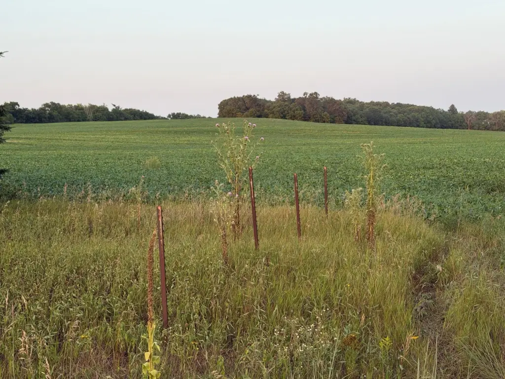 Picture 15
