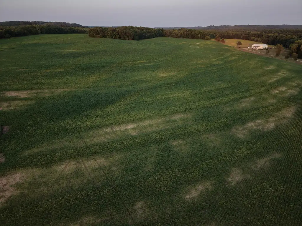 Picture 11