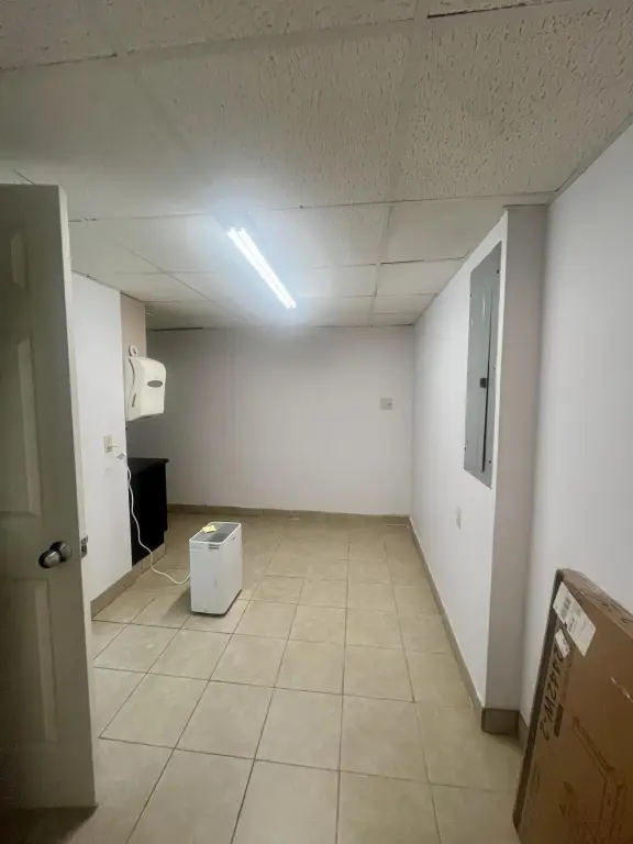 Picture 14
