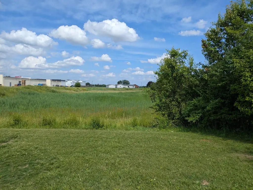 Picture 15