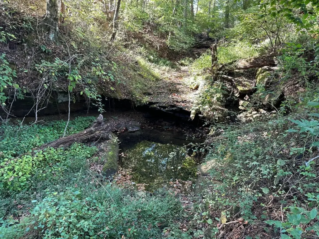 Picture 16