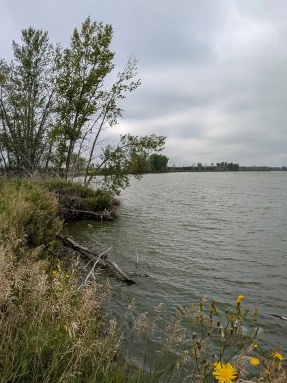 Picture 3