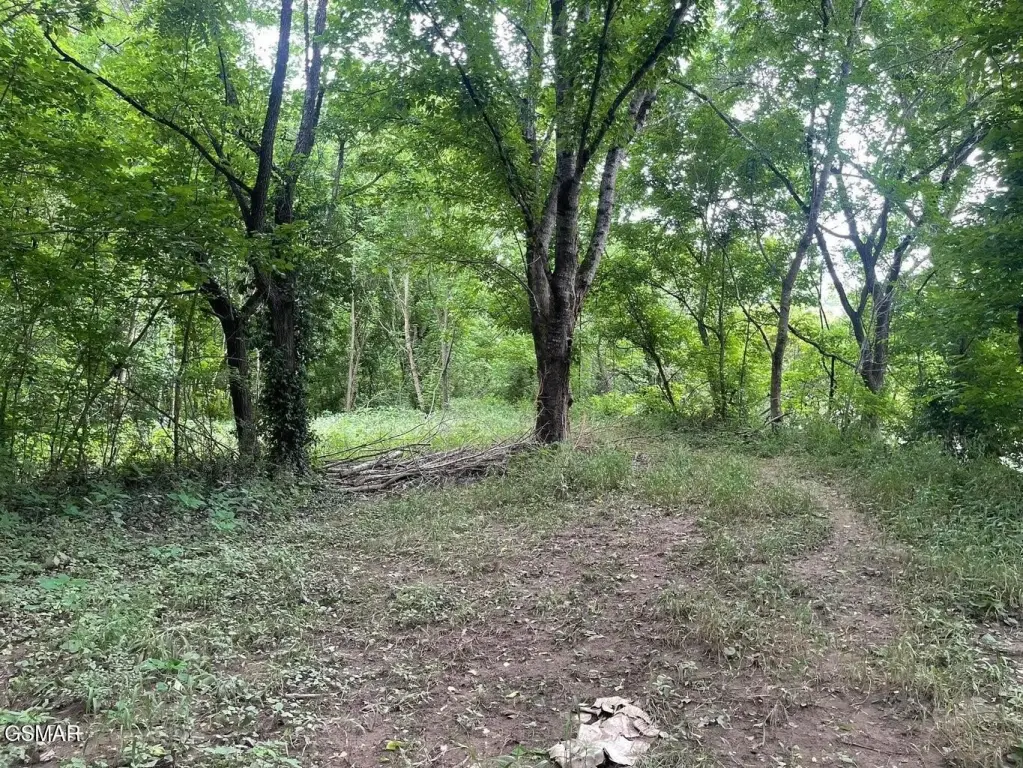 Picture 21