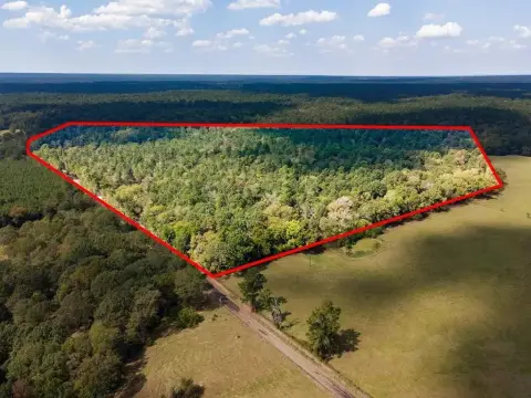 83.5 Acres Bordering National Forest