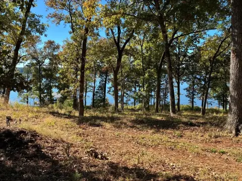 Waterfront Lot on Lake Nacogdoches