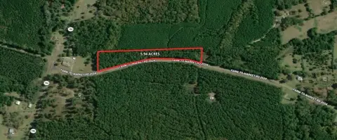 Wooded Land Near Hemphill, TX