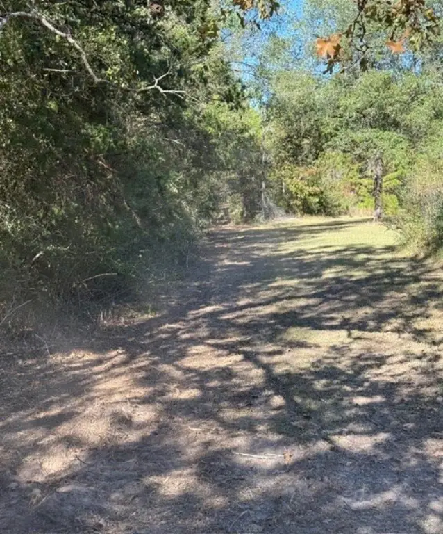 Picture 27