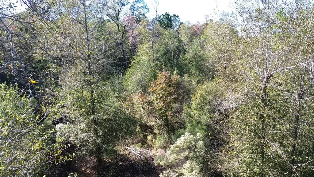 Picture 17