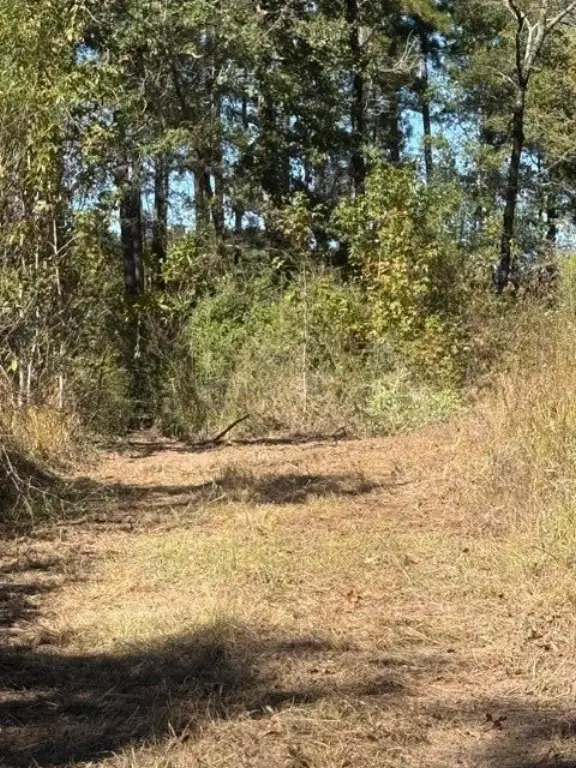 Picture 21