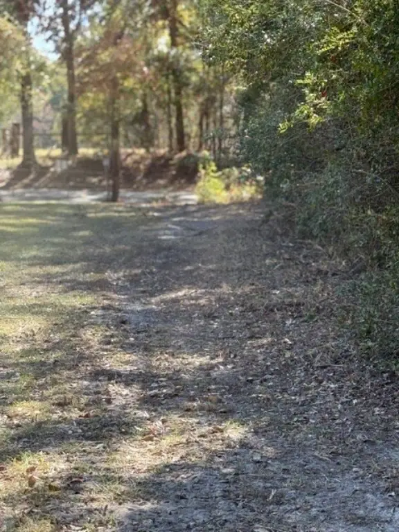 Picture 29