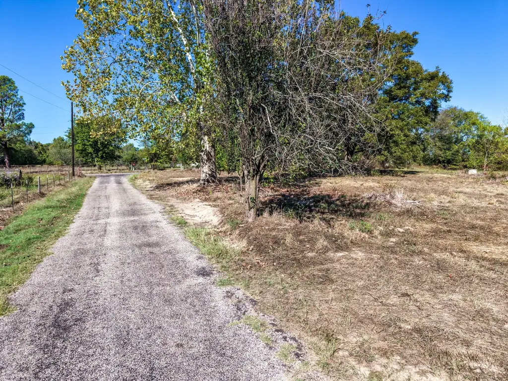 Picture 25