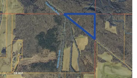Corinth, MS Wooded Land Parcel