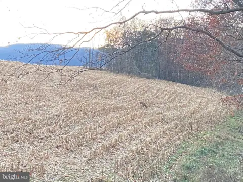 Recreational Land in Needmore, PA