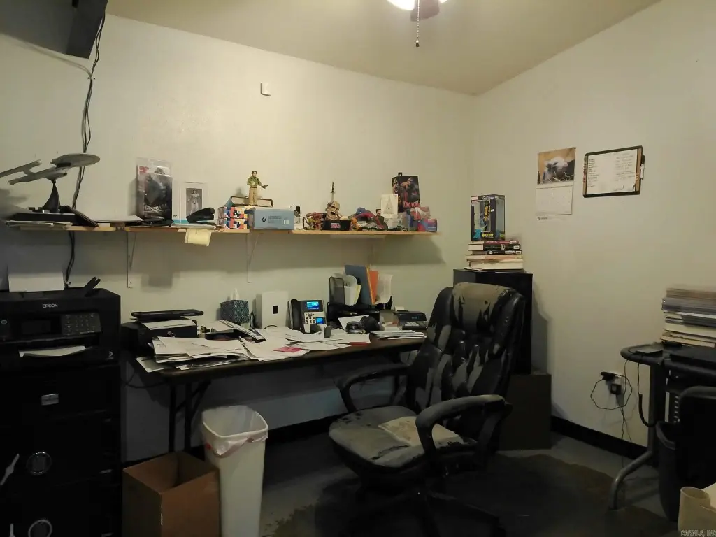 Picture 11