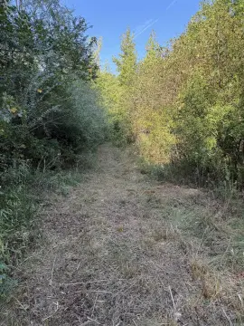Hunting Land with Year-Round Creek