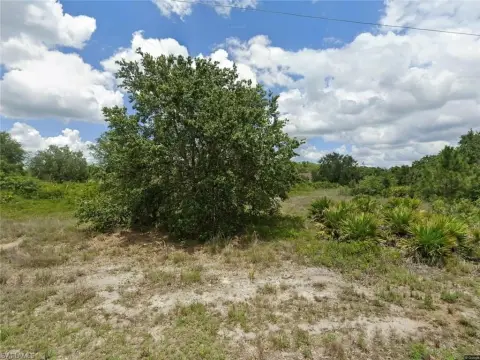 Lehigh Acres Land Opportunity