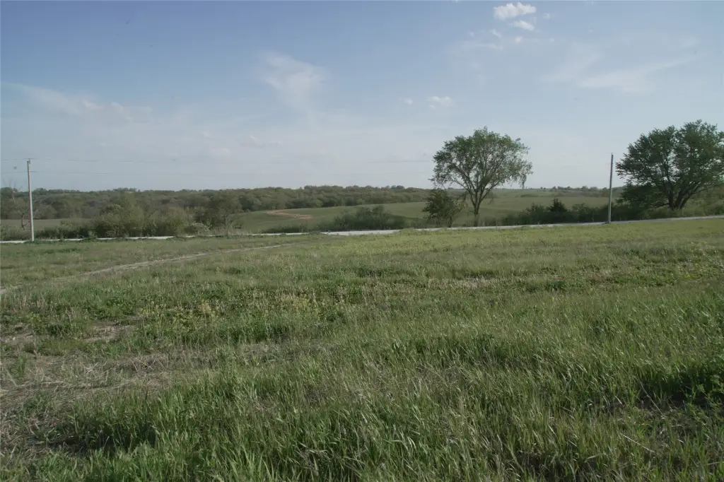 Picture 20