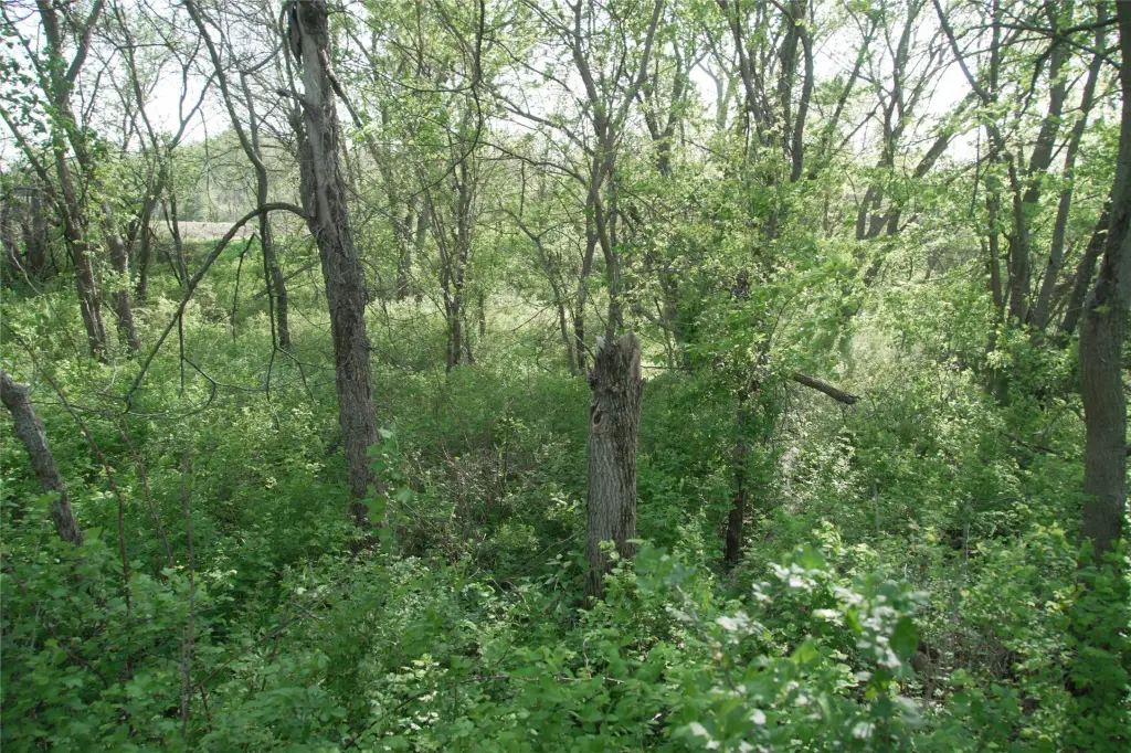 Picture 10