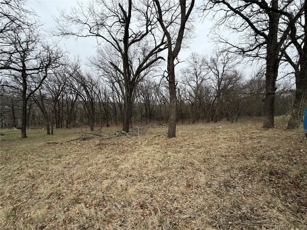 Picture 3