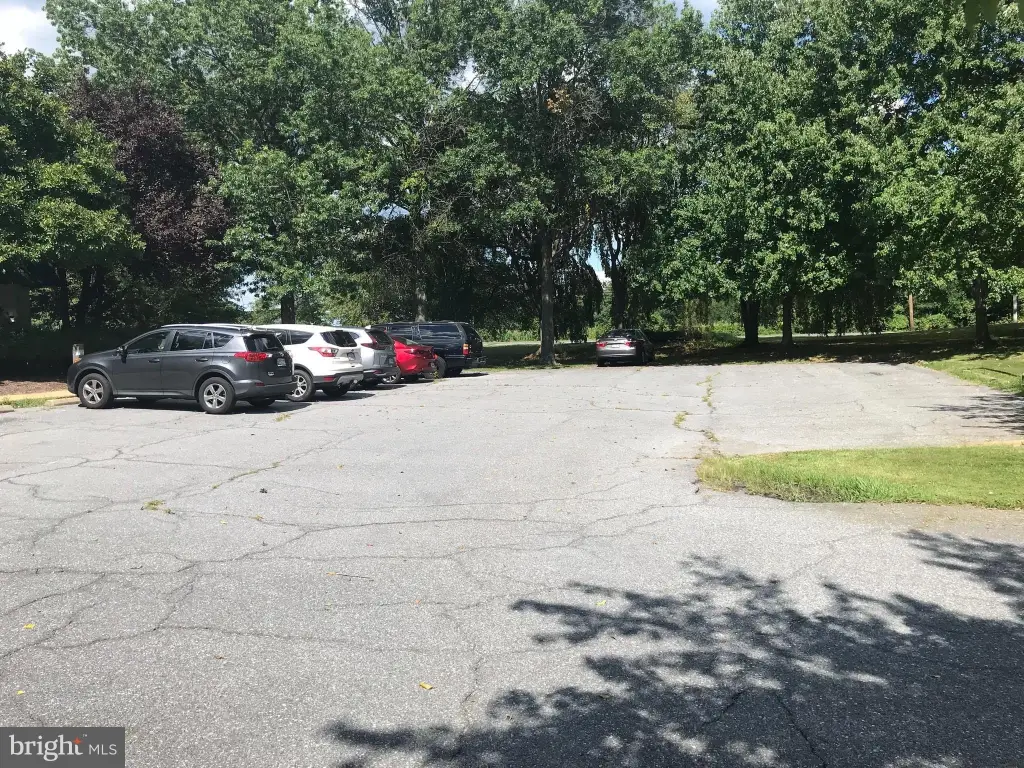 Picture 20