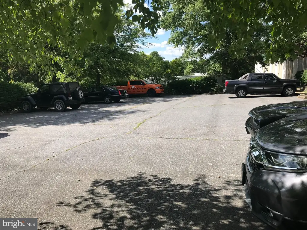 Picture 19