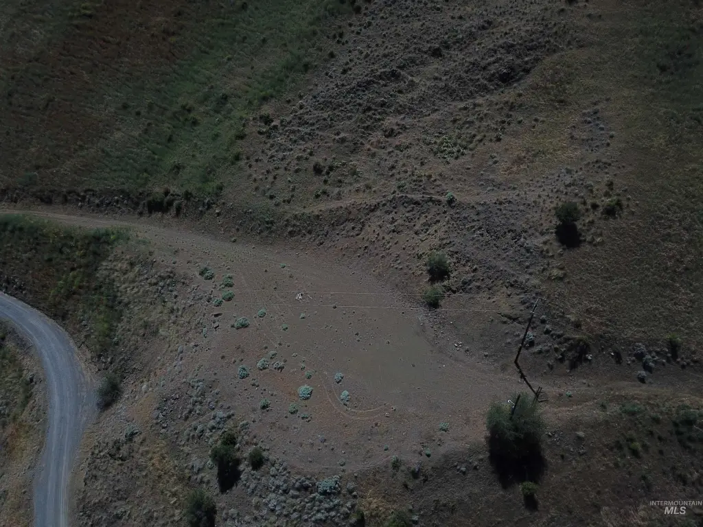 Picture 14