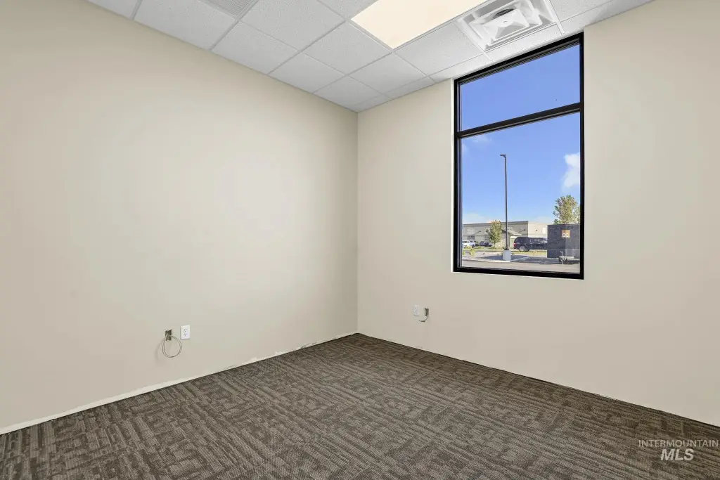 Picture 15