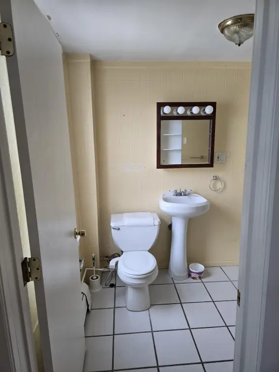 Picture 15