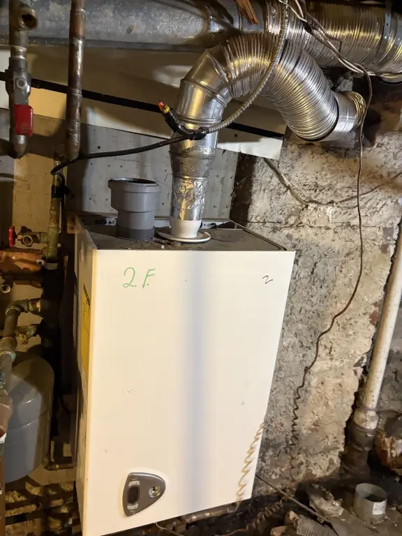 Picture 21