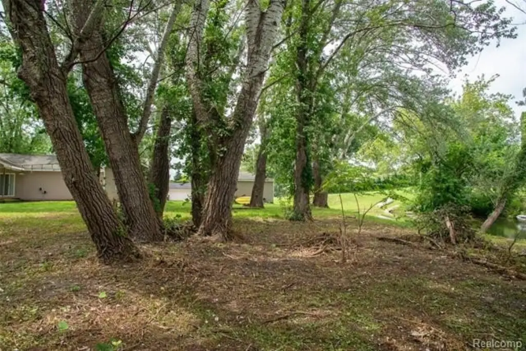Picture 6