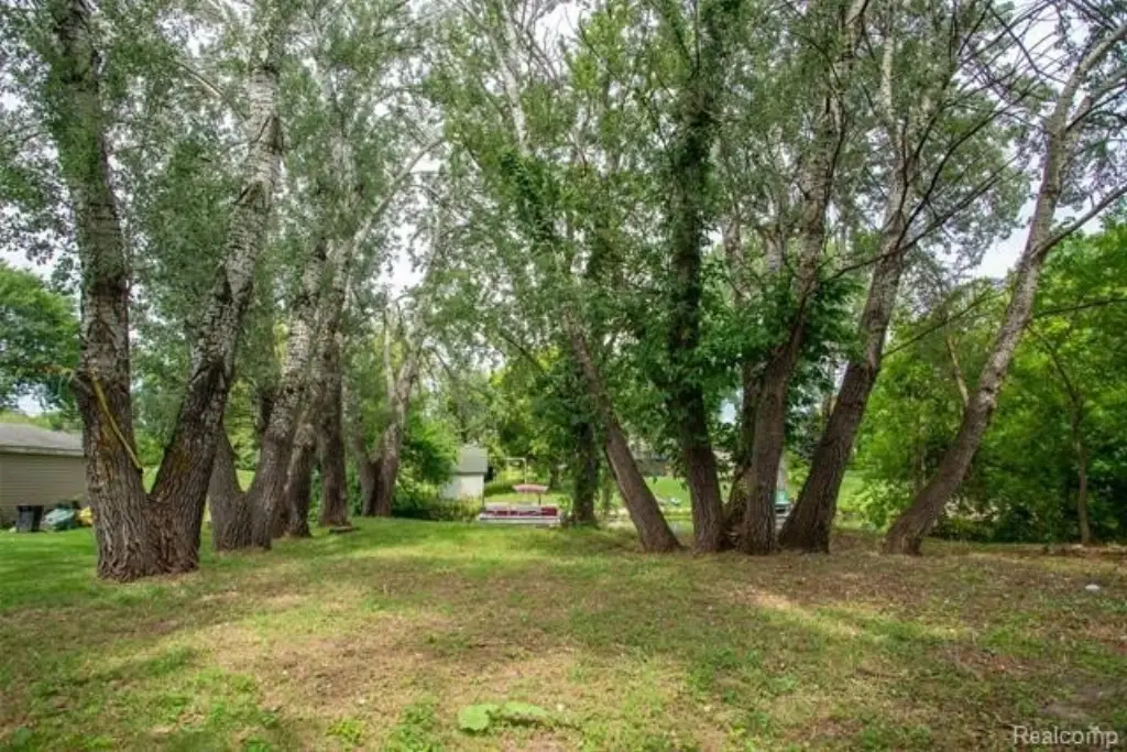 Picture 9